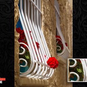 White Elegant Wrought Iron Window Railing