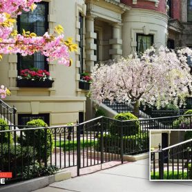 Elegant Wrought Iron Wall Railing